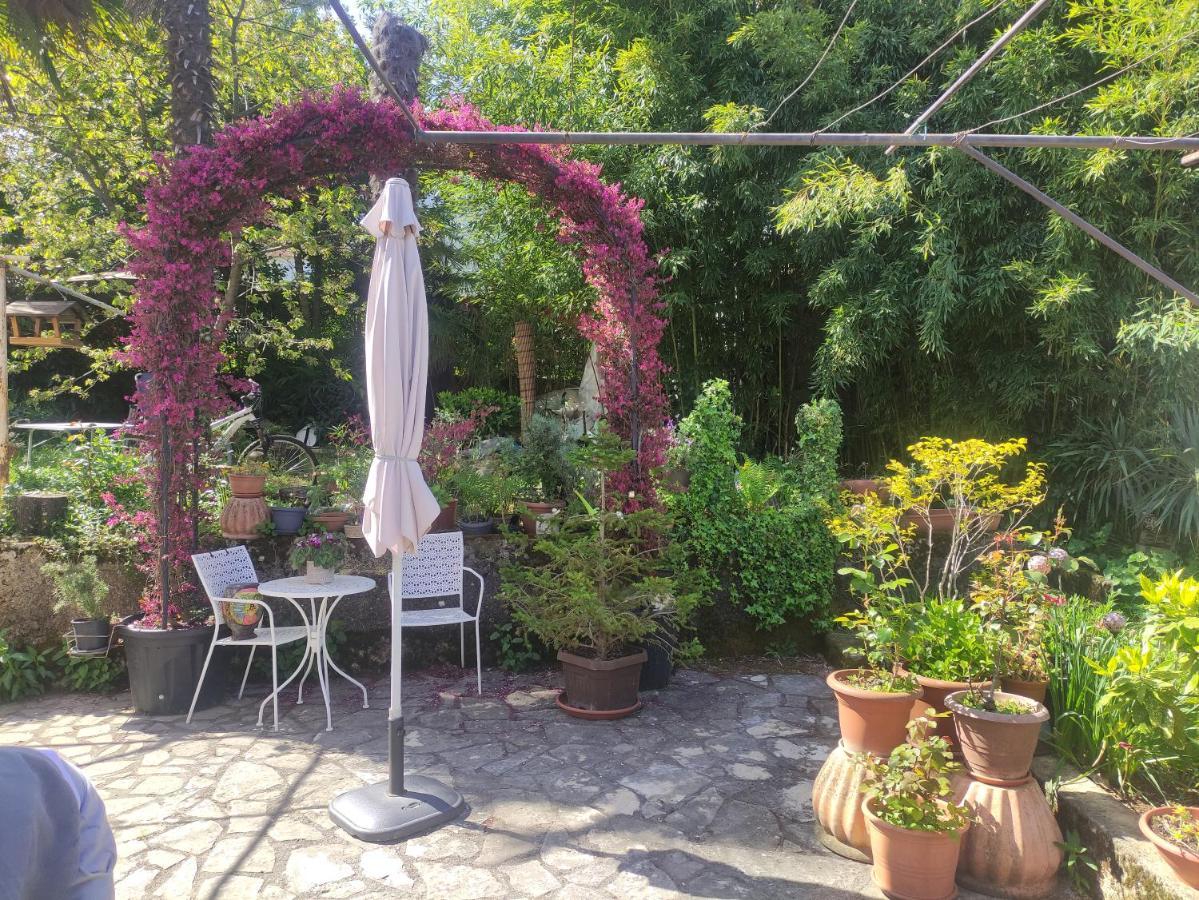 Apartment Valenta Porec Ngoại thất bức ảnh
